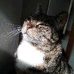 Profile Picture of Corey (@chi.coreyc) on Instagram