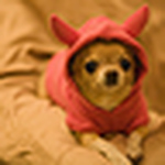 Maríajosé Arroyo Cantillana - Flickr Profile Picture of Maríajosé Arroyo Cantillana (@gabbagabba <3) on Flickr