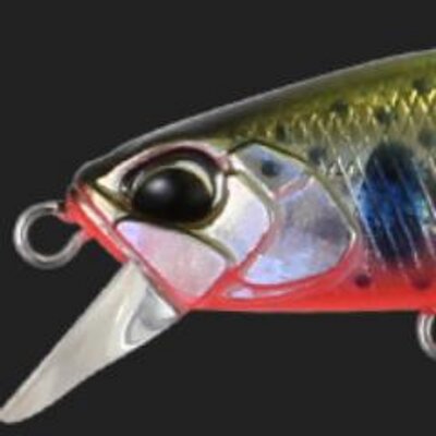 Profile Picture of Sandi Roberts (@GlobalLures) on Twitter