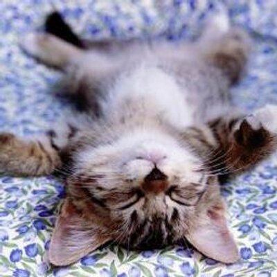 Profile Picture of Cory McBride (@Cory_McB) on Twitter