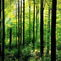 Profile Picture of Taylor Needham (@taylor-needham-6) on Quora