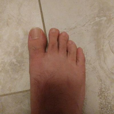 Profile Picture of Robert Van Alphenon Twitter