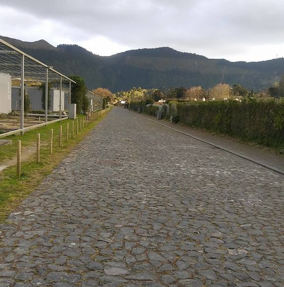 Profile Picture of Maria Silva (@nelly1962) on Poshmark