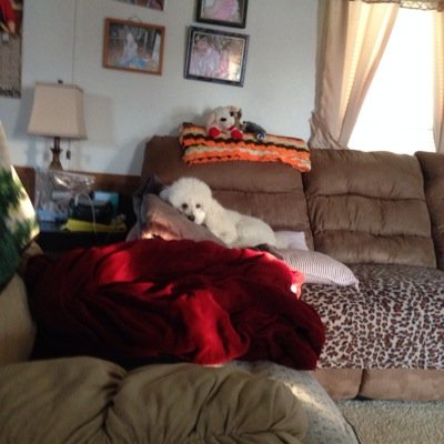 Profile Picture of Donna Jenkins Decker (@DeckerJenkins) on Twitter