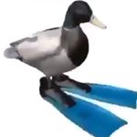 Profile Picture of Jamés Anderson (@belgium_is_glorious) on Instagram