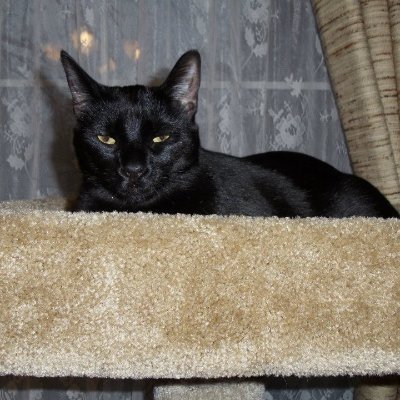 Profile Picture of Laurie Moore (@18lleighl5) on Twitter