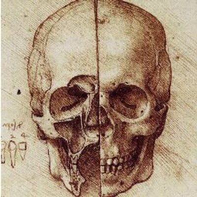 Profile Picture of Steve Jacques (@StevenJJacques) on Twitter