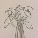 Profile Picture of Amanda Strittmatter (@kestrelgirlsgarden) on Instagram