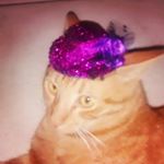 Profile Picture of John ayllon (@__sprinkels__) on Instagram