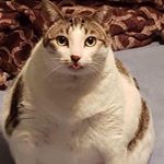 David Plánička - Instagram Profile Picture of David Plánička (@daveplanicka) on Instagram