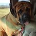 Profile Picture of Mike Napier (@mike.napier.75839) on Facebook