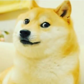 Profile Picture of LinJih (@linjih) on Instagram