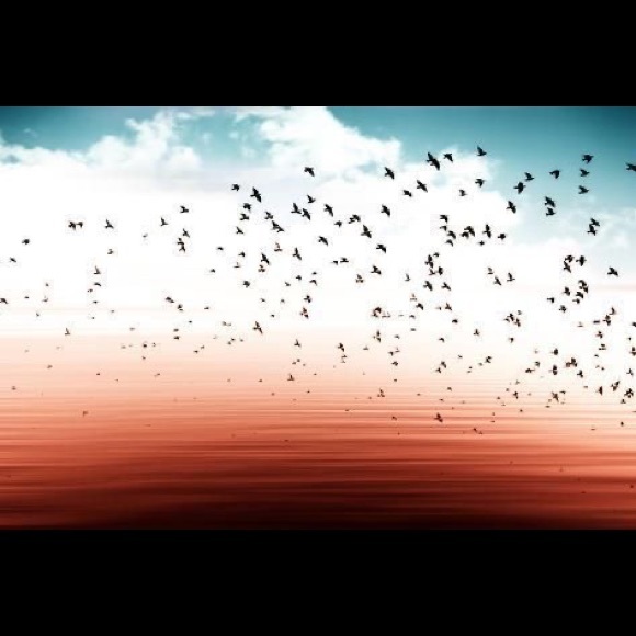 Profile Picture of Katelyn Barber (@katelynmarie231) on Poshmark