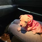 Profile Picture of Peter Billman (@peter.billman.9) on Facebook