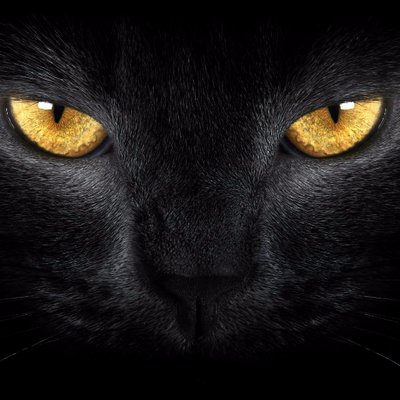 Profile Picture of AndreMaye (@AmMG8) on Twitter
