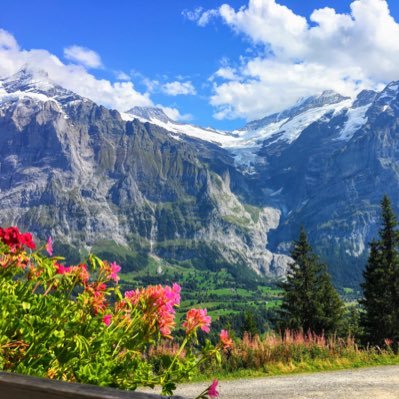 Profile Picture of Dog Doodle (@JonPatt41576124) on Twitter