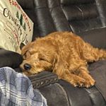 Profile Picture of Jeff Bardell (@jsb1974) on Instagram