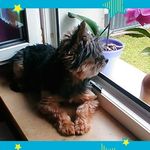 Profile Picture of Anita Donhauser (@anitadonhauser) on Instagram