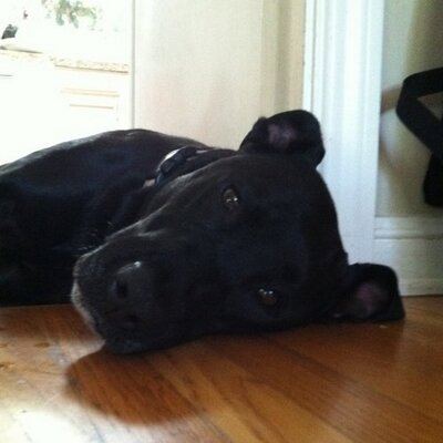 Profile Picture of Bob Kahn (@rwkahn3) on Twitter