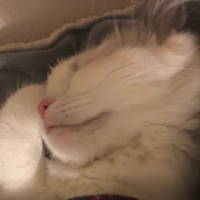 Profile Picture of Tyler (@Tyler_Heise) on Twitter