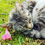 Profile Picture of Roman Cyfko Photography (@roman.cyfko.photography) on Instagram