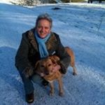 Profile Picture of Kevin Bourgault (@kevin_bourgault) on Instagram