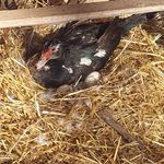 Profile Picture of jeremy vink (@jeremyvink2008) on Instagram