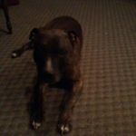 Profile Picture of Glen Stocker (@glenn.stocker.14) on Instagram