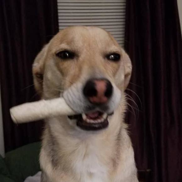 Profile Picture of Jaclyn Tripp (@jactripp15) on Poshmark