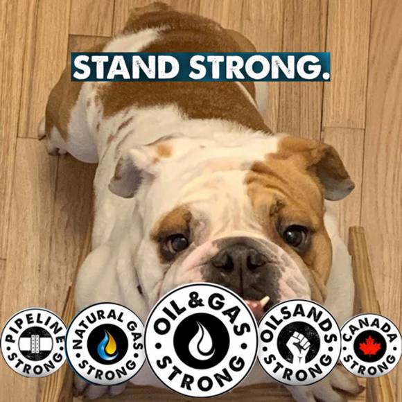 Profile Picture of Eric Busa (@ericbusa) on Poshmark