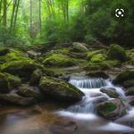 Profile Picture of Matt Gilliam (@nc_outdoor_junkie) on Instagram