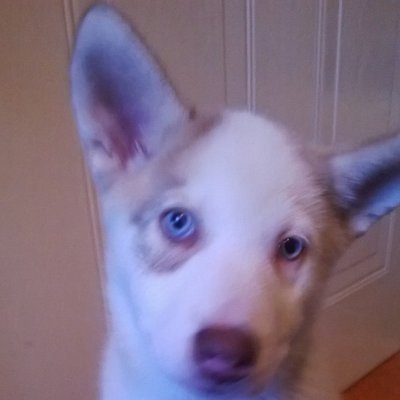 Oscar Howard - Twitter Profile Picture of Oscar Howard (@OWHMiner) on Twitter