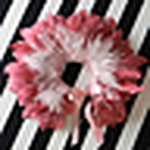 Profile Picture of Sonia M (@soniam designs) on Flickr