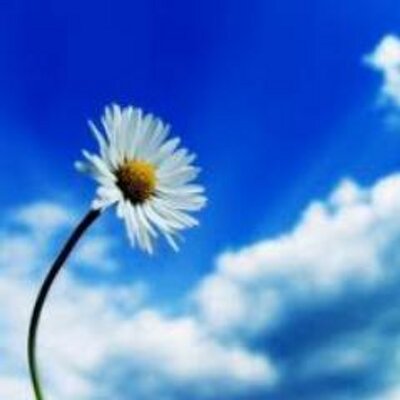 Profile Picture of Ayesha Afzal (@ayeshaafzal16) on Twitter