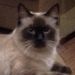Profile Picture of Vickie Keith (@vkeith9888) on Pinterest