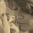 Profile Picture of Shawna Bray (@scbray) on Pinterest