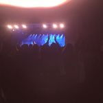 Profile Picture of Clare Ellis (@ellis_clare) on Instagram