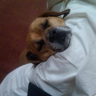 Profile Picture of Steve Cohen (@CohenNFL) on Twitter