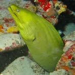 Profile Picture of Christopher Koerber (@christopher.koerber.71) on Facebook