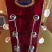 Profile Picture of jimmy ray (@jimmyrayjimmy) on Pinterest