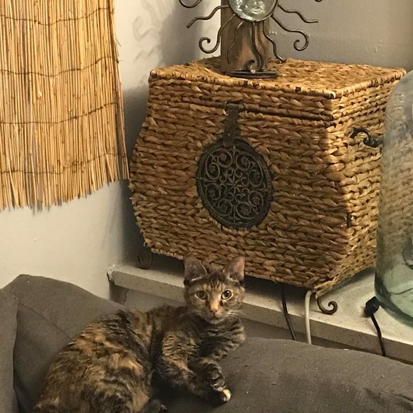 Profile Picture of Adam Kedrowski (@kedrowskiadam) on Poshmark