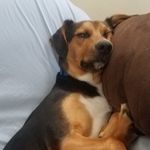 Profile Picture of Hayden Ray Nadeau (@dog_lover_2007_2019) on Instagram