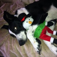 Profile Picture of Christopher Harman (@christopher-harman-2) on Quora