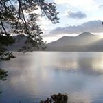 Profile Picture of David Raynes (@raynes.david) on Instagram