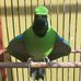 Profile Picture of Harpa Hmpcl (Harpa Hmpc) (@harpaeddy.hmpcl) on Facebook