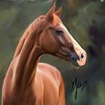 🇬🇧 Alex Tarrant 🇬🇧 - Instagram Profile Picture of 🇬🇧 Alex Tarrant 🇬🇧 (@teamtarrantequestrian) on Instagram