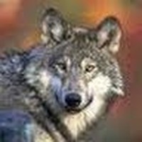 Profile Picture of James Grubic (@james-grubic-1) on Quora