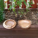 Profile Picture of Drew A B Keenan (@handywoodcrafts) on Instagram