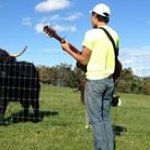 Profile Picture of Christopher Ahn (@cahn721) on Instagram