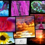 Profile Picture of Tammy Wilbur (@wilburtammy) on Instagram